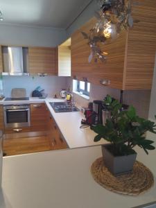 卡利斯托斯Aris Apt的厨房配有木制橱柜和柜台上的盆栽植物