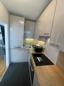 博登斯多夫George-Beach Apartment Ossiachersee/Gerlitzen的厨房配有白色橱柜和黑炉灶烤箱。