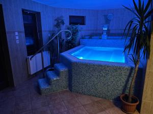 赛伦奇Meggyes Hotel的浴室内设有一个按摩浴缸,内配盆栽植物