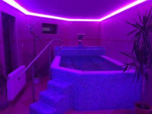 赛伦奇Meggyes Hotel的浴室配有带紫色照明的热水浴池