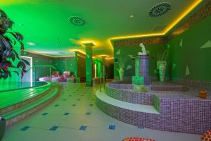 迪马诺卡多林纳婆洛芙尼克酒店的酒店设有一个拥有绿色天花板的游泳池
