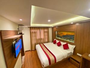 加德满都Hotel Dipjyoti的一间酒店客房,配有一张床和一台电视