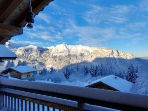 雷加霍斯达哈施Chambre d'hôte dans chalet près des pistes et aux départs de randonnées的阳台享有雪覆盖的山脉美景。