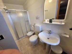 上福尔尼Albergo Meuble Tarandan的浴室配有卫生间、盥洗盆和淋浴。