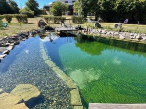海斯勒Nordbornholms Feriecenter的公园里一个绿色藻类的水池