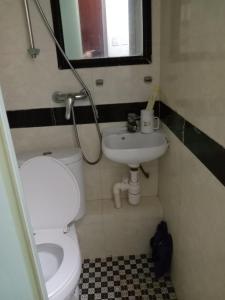 香港富都賓館 Fu Dou Guest House的一间带卫生间和水槽的小浴室