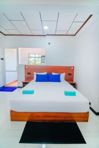 阿鲁特伽马Apartments by Tyzon的一间卧室配有一张带蓝色枕头的大床