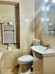 德罗贝塔-塞维林堡弗洛拉酒店的浴室配有白色卫生间和盥洗盆。