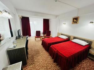 德罗贝塔-塞维林堡弗洛拉酒店的酒店客房设有两张床和电视。