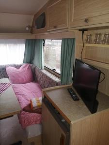 皮尔纳"Campingplatz Altjessen 57"的小房间,大篷车内配有沙发和电视