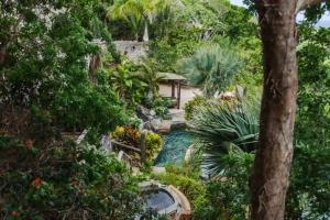 拉斯加勒拉斯Casa El Paraíso, Las Galeras的一个带游泳池和景观的花园