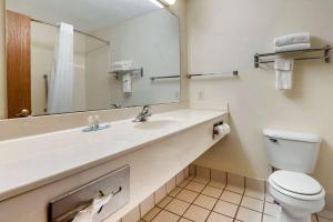ObetzQuality Inn & Suites South的一间带水槽、卫生间和镜子的浴室