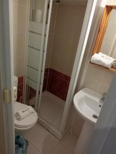 科尔多瓦梦想家&Co旅舍的带淋浴、卫生间和盥洗盆的浴室