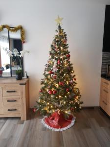 MontansVilla des rives du Lac的客厅里的圣诞树
