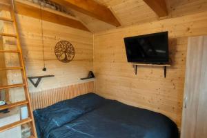 塞米利Tiny Treperka的小房间设有一张床和一台平面电视