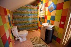 KoplyčninkaiAurora houses的色彩缤纷的浴室设有卫生间和水槽。