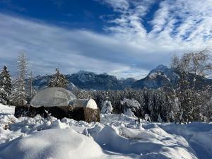 福森Bubble Tent Füssen im Allgäu的小屋的背景是带雪盖的山间小屋