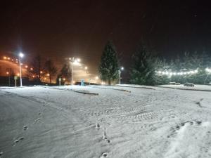 布科维纳-塔钱斯卡Tatrzański Camper Park- parcele kamperowe的雪覆盖的街道,在雪中留下脚印