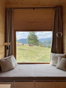 Horné Hámrekiva cabin的客房内的窗户,配有一张美景床