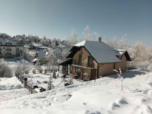 兹拉蒂博尔Vikendica Životić的一座被雪覆盖的城镇房屋