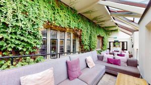 克利夫罗斯特克酒店的客房设有带沙发和枕头的绿色墙壁。