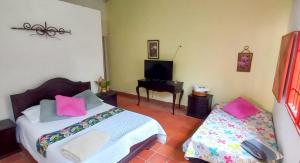 GiganteVilla Sonia Eco-Hostel的一间卧室配有两张带粉色枕头的床和钢琴