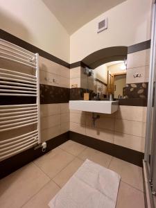 赫林斯科斯坦斯基Mlýn木林酒店的一间带水槽和镜子的浴室