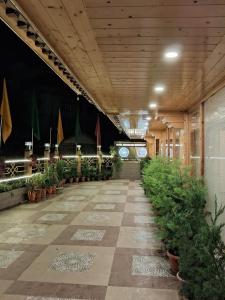 甘托克Hotel Zingkham Residency的楼内带有盆栽的走廊