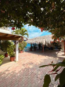 普拉亚斯Casa con piscina y salida a la playa的一个带稻草伞和海洋的庭院