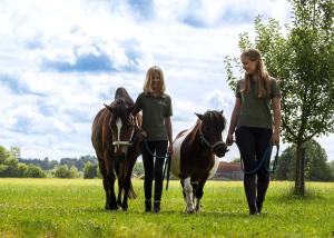 谢兴施普林格霍夫酒店的两个女孩在田间骑两匹马