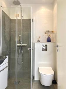 布鲁门里斯特里尔格力伯格旅馆的一间带卫生间和玻璃淋浴间的浴室