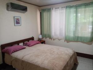 Dos BrazosLa Casita的一间卧室配有一张带紫色枕头的床和窗户。