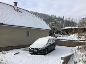 Ferienhaus zum Rossbach的停在雪地车道上的汽车