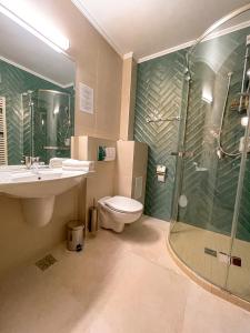 Tîrgu FrumosHotel Coroana的带淋浴、卫生间和盥洗盆的浴室
