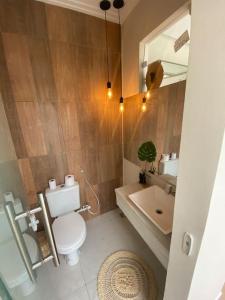 盖比姆Guaibim House- Sua casa de praia的一间带卫生间、水槽和镜子的浴室