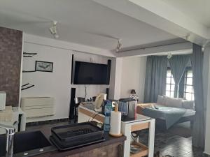 希普卡Gnezdo Studio Apart的客厅设有1间带沙发和电视的房间