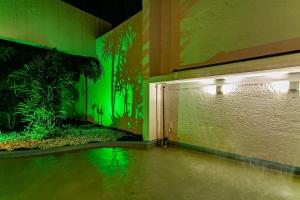 弗洛里亚诺波利斯Nantai premium MOTEL的一间设有水池和绿色墙壁的客房