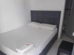 巴耶杜帕尔Hotel Mileniun Valledupar的一张白色的床,上面有两个白色的枕头