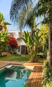 萨尔塔比库尼亚精品酒店的棕榈树屋前的游泳池
