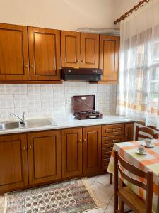 埃拉蒂特里卡隆ΑΓΝΑΝΤΕΜΑ的厨房配有木制橱柜、水槽和桌子