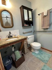 朗维尤Treehouse at Berry-patch的一间带卫生间、水槽和镜子的浴室