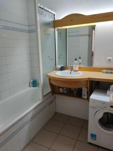 布里昂松Chez Maxime Pre du Moulin的一间带水槽和镜子的浴室以及一台洗衣机
