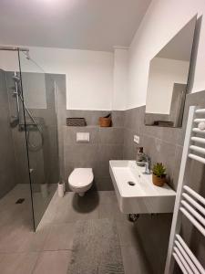 多斯滕Große Apartments für Monteure & Feriengäste的浴室配有卫生间、盥洗盆和淋浴。