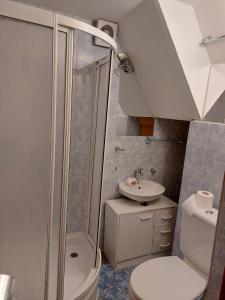 亚霍里纳Kuća Milica的带淋浴、卫生间和盥洗盆的浴室