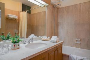 普诺何塞安东尼奥普诺酒店的一间带水槽、浴缸和镜子的浴室