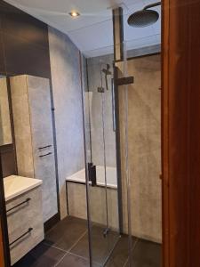 GramsbergenJuromi 42的带淋浴和盥洗盆的浴室