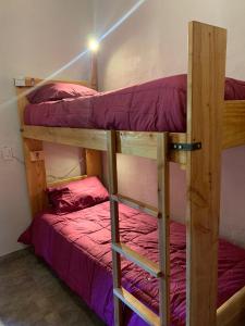 埃普延Anacrusa Hostel的客房内的两张双层床