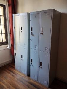 圣地亚哥Wild Bellavista Hostel的三个储物柜都放置在一间房间里