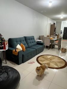 因贝Casa com piscina em Imbé/Rs的客厅配有蓝色的沙发和小狗