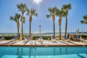 巴拿马城海滩Beachfront Stunning view 100 ft long swimming pool的一个带椅子的游泳池,棕榈树